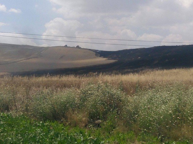 Hem Tarlası Hem Arabası Yandı