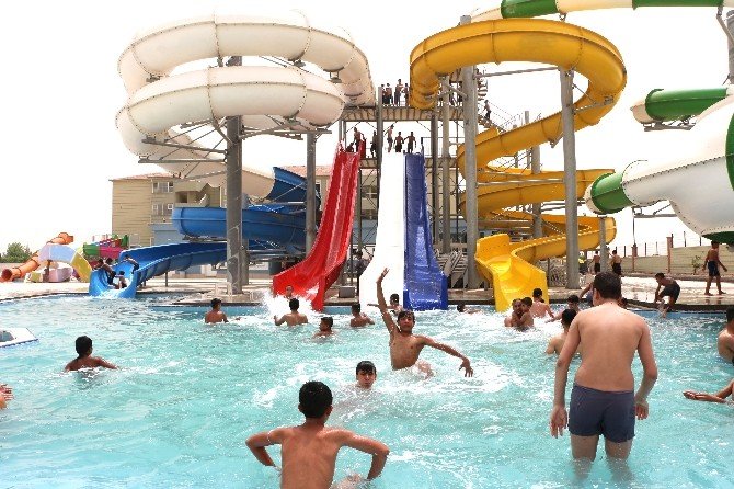 Royal Aqua Yüzme Havuzu Hizmete Açıldı