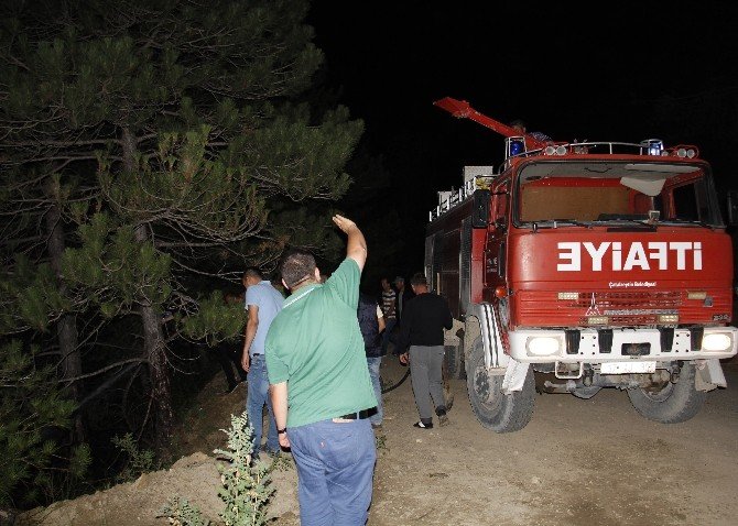 Kastamonu’da Orman Yangını