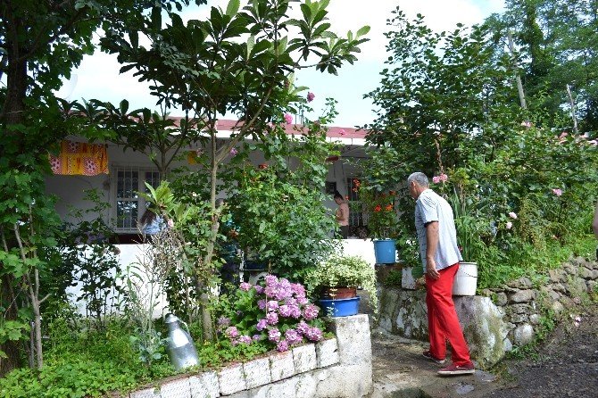 Ordu’da 6 Yıllık Arazi Davası 6 Can Aldı