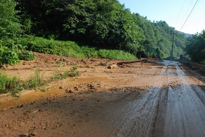 Rize’de Şiddetli Yağışlar Hasara Yol Açtı.