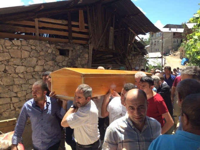 Çoruh Nehrinde Kaybolan Genci Arayan Ekibin Karşısına Ayı Çıktı