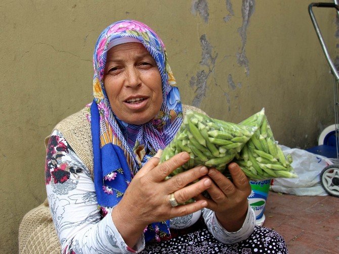 Fedakar Kadın
