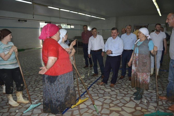 Başkan Anlayan Selden Zarar Gören Yerlerde İncelemelerde Bulundu