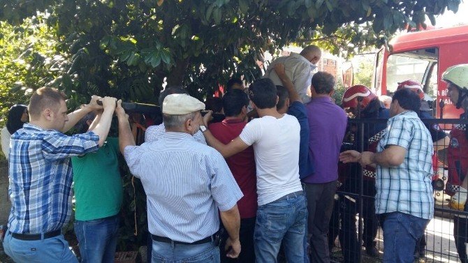 Ağaçtan Düşen Yaşlı Adamın Bacağına Demir Çubuk Saplandı