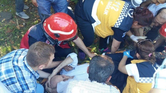 Ağaçtan Düşen Yaşlı Adamın Bacağına Demir Çubuk Saplandı