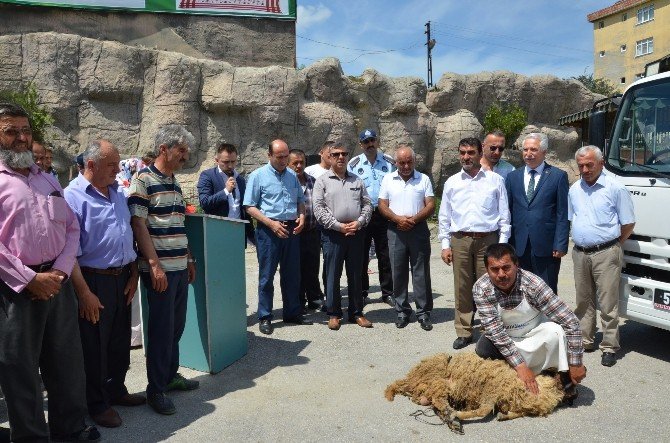 Durağan Belediyesi Araç Filosunu Yeniledi