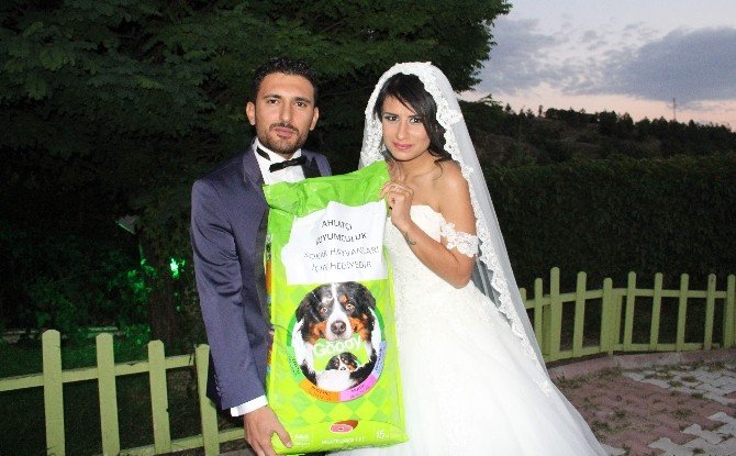Düğüne Çiçek Yerine Köpek Mamasıyla Geldiler