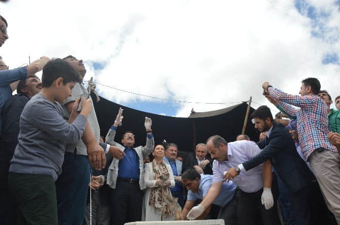 Gümrük Ve Ticaret Bakanı Bülent Tüfenkci:“terörle Bizleri Yıldıramazlar”