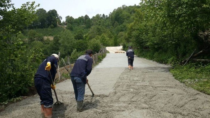 Kumru’da Yol Seferberliği