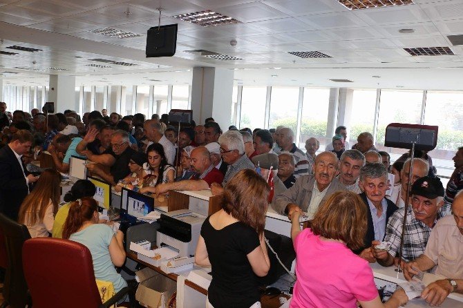 Trabzon Büyükşehir Belediyesi’nde ’Trabzonkart’ Yoğunluğu