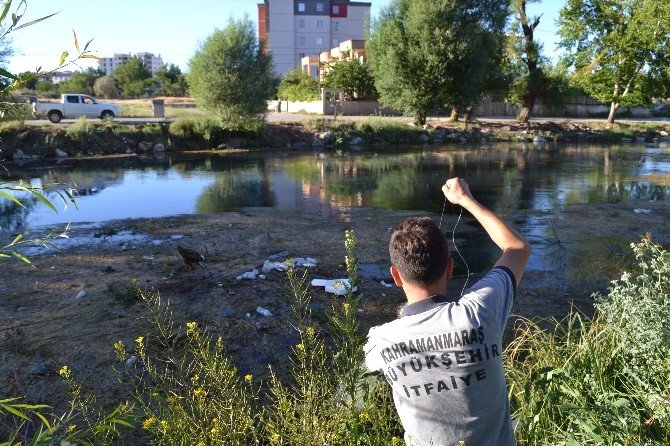Ceyhan Nehri’ne Düşen Yaralı Doğanı İtfaiye Kurtardı