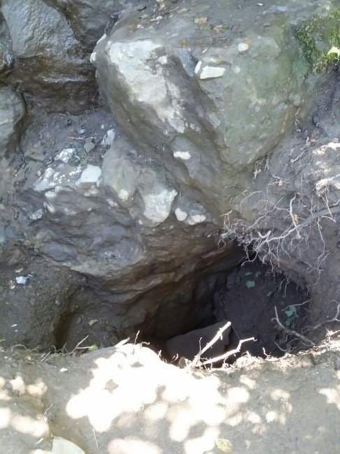 Jandarmanın Asayiş Faaliyetleri