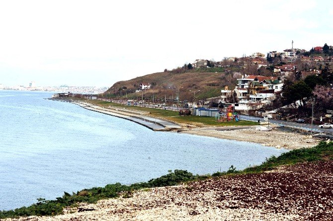 Gürpınar Ve Marina’daki Halk Plajlarında Yapılan Ölçümlerde Deniz Tertemiz