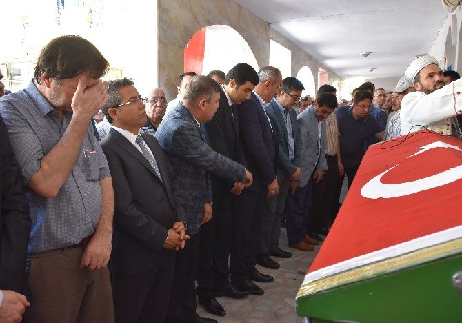 Demokrasi Şehitleri Sinop’ta Toprağa Verildi