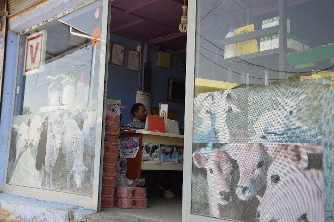 Veterinerden Sıcaklık Uyarısı