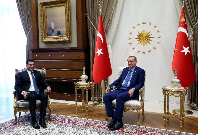 Cumhurbaşkanı Erdoğan Kktc Başbakanı Özgürgün’ü Kabul Etti