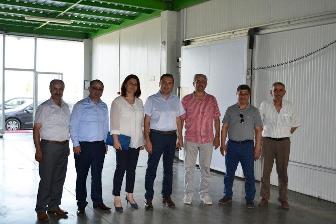 Samsun Kosgeb Ve Bafra Tso’dan Firma Ziyaretleri