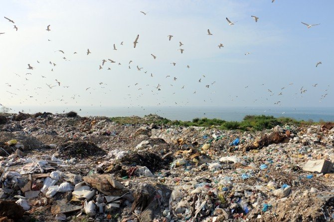 Ordu’da 32 Yıllık Sorun 8 Ay Sonra Tarih Oluyor