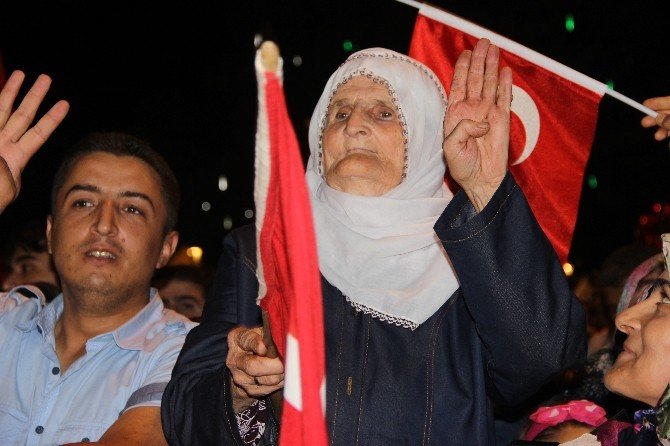 Cumhurbaşkanı Başdanışmanı Prof. Dr. Mehmet Çelik: