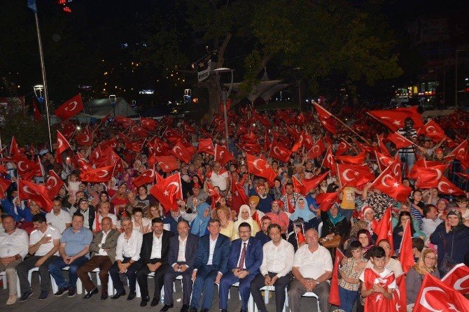 Ünlülerden Demokrasi Nöbetine Destek