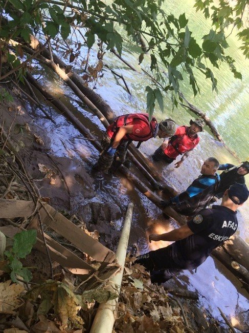 Sakarya Nehri’ne Düşen Adamın Cesedi Bulundu