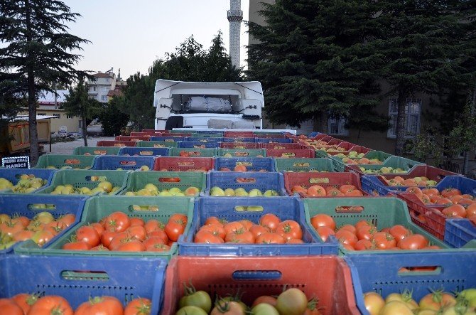 Çameli Domatesi Dünya Pazarına Açılıyor