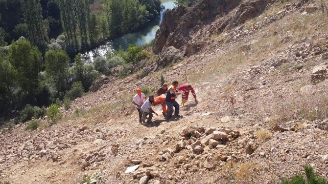 Şiran’da Trafik Kazası: 2 Ölü, 1 Yaralı