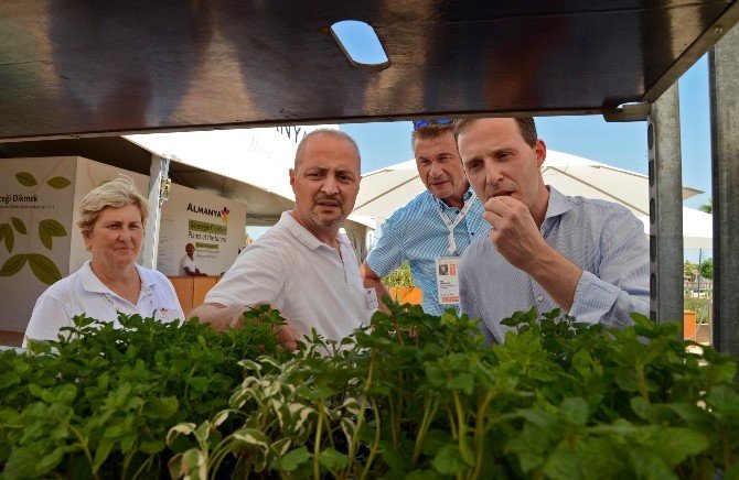 Alman Müsteşar’dan "Expo 2016’ya Gelin" Çağrısı