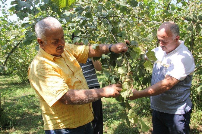 Trabzon Ticaret Borsası Başkanı Mehmet Cirav’dan Uyarı