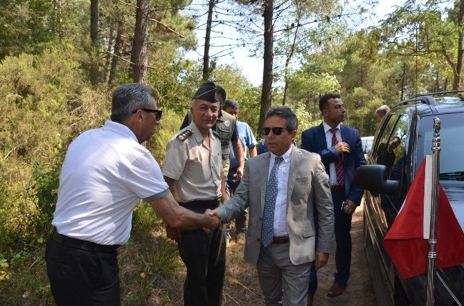 Sinop’ta 200 Sülün Doğaya Salındı