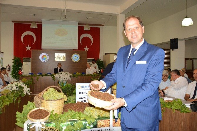 Sezonun İlk Kuru Üzümü 50 Tl’den Satıldı