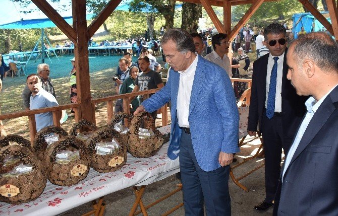 Ak Parti Karabük Milletvekili Mehmet Ali Şahin:
