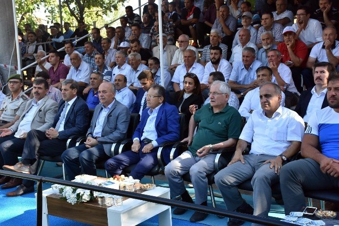 Dursunbey Yağlı Güreşlerinin Başpehlivanı Şaban Yılmaz Oldu