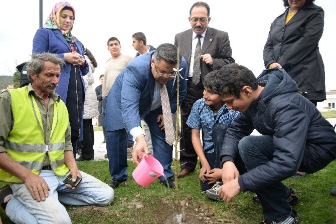 Bilecik’te Karbon Ayak İzi Belirleniyor