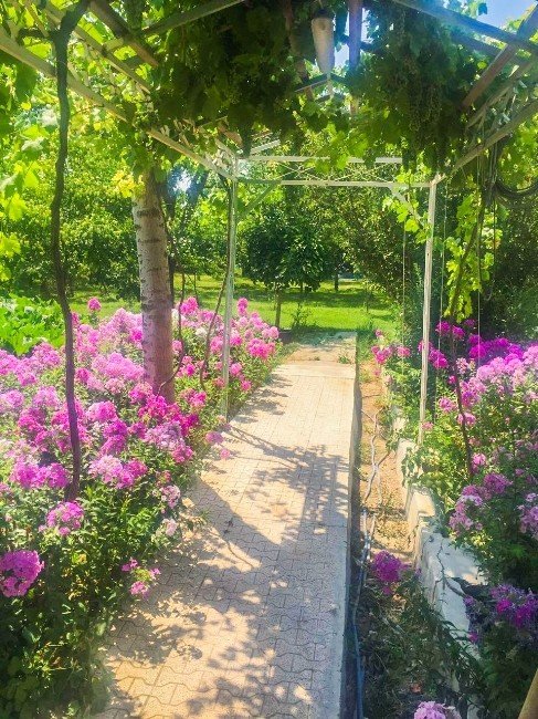 Meram En Güzel Bahçesini Seçti