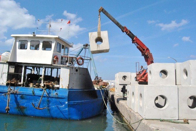 Yalova Su Ürünleri Balıkçılar Kooperatifi Başkanı Erdal Tokalak: