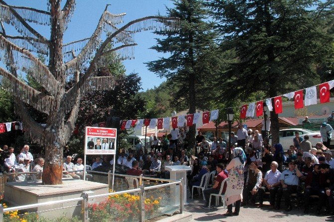 Şehit Ağacı’nda Demokrasi Şehitleri De Yer Aldı