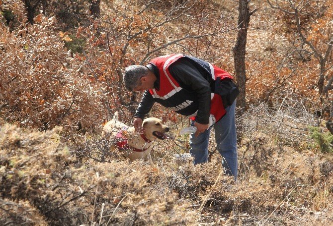 Bayat’ta Kaybolan Şahıs Heryerde Aranıyor
