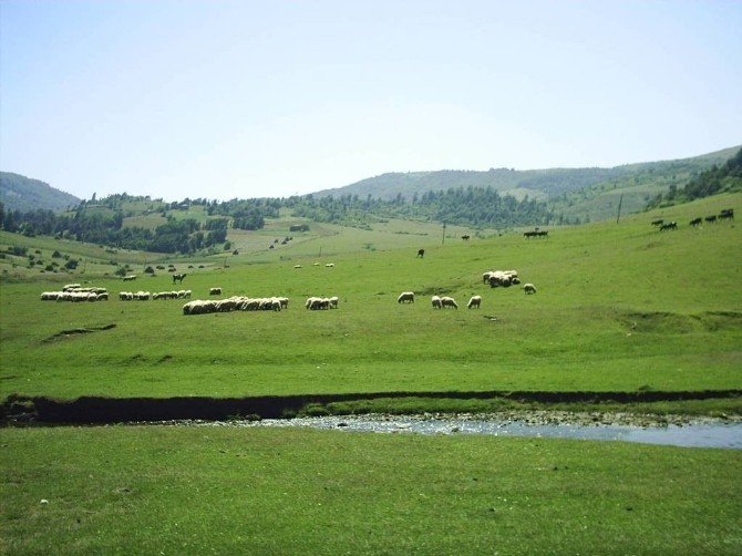 Ordu’da Çatışma