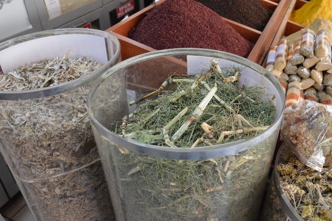 Polen Alerjisi Olanlara Doğal Öneriler