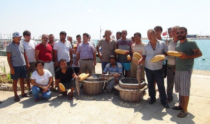 Mersin’de Lagos Balığının Avlanma Yasağına Tepki