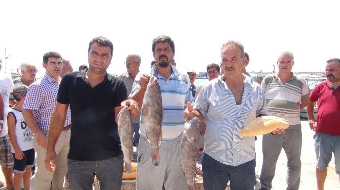 Mersin’de Lagos Balığının Avlanma Yasağına Tepki