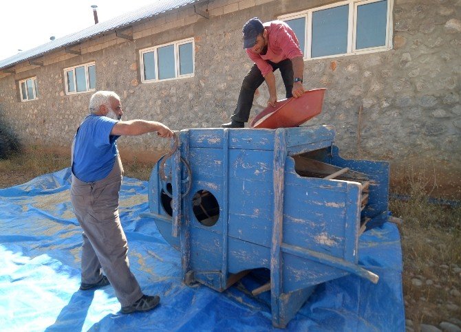 Ovacık’ta Kinoa Hasadı