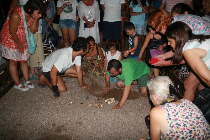 Marmaris’te Caretta Nöbeti Sona Erdi