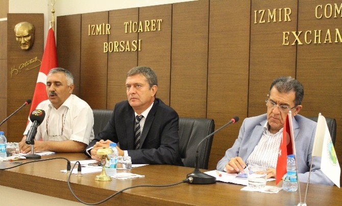 Kuru İncirde Rekolte Düştü, Kalite Arttı