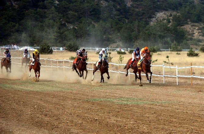 Taşköprü’de At Yarışları Nefes Kesti