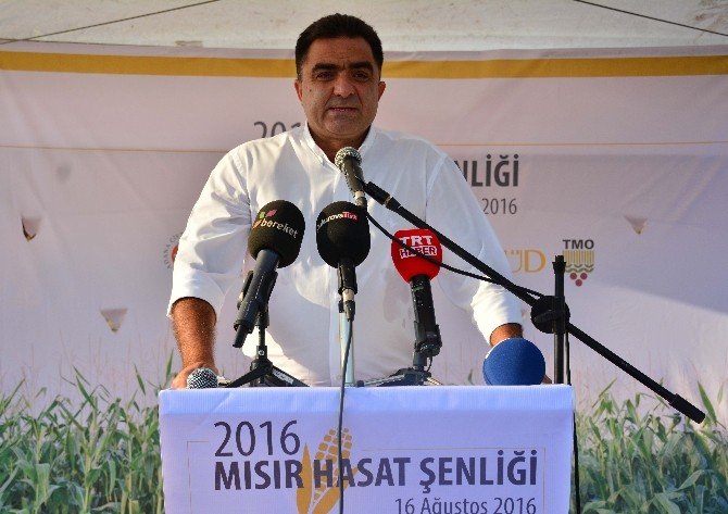 Mısır Üreticisi “Acil” Fiyat Bekliyor