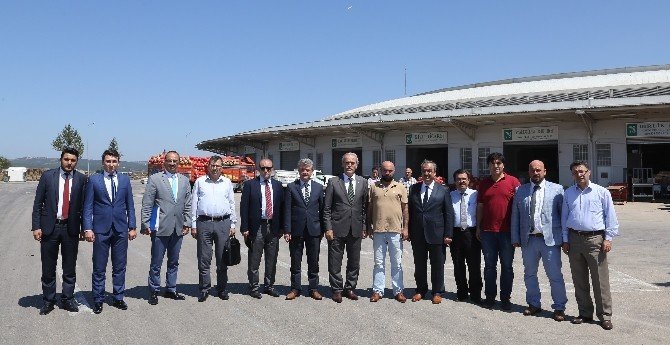 Bursa Sağlıklı Gıdada Marka Oluyor