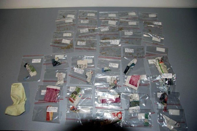İhbarı Değerlendiren Polis, 20 Paket Bonzai Ele Geçirdi